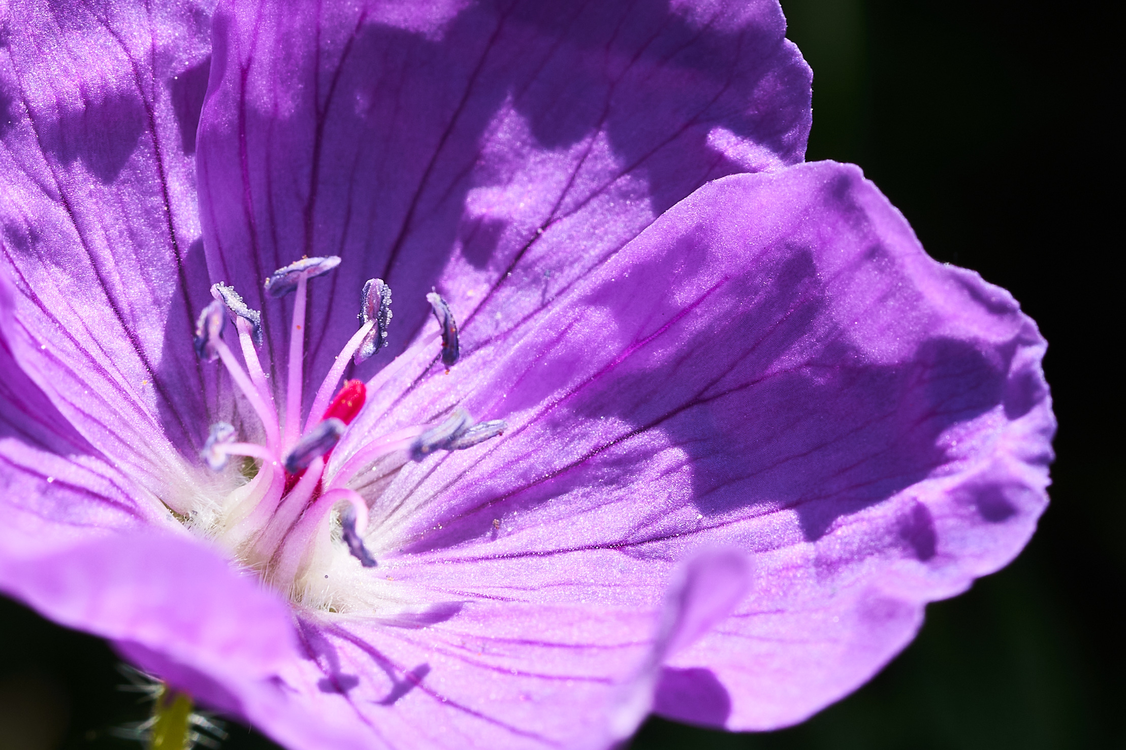 2022 05 08 Gruga 0423